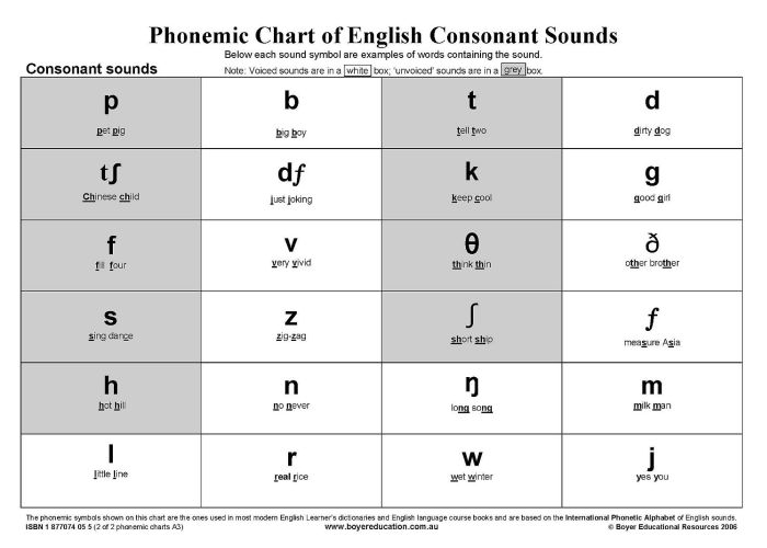 Phonemic_Chart_of_Vowel_Sounds_2_of_2_ISBN_9781877074059